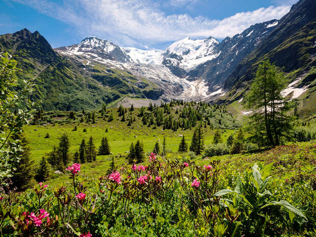 Pink wildflowers bloom in the foreground, surrounded by green meadows and scattered trees, while distant snow-capped mountains rise under a partly cloudy blue sky.